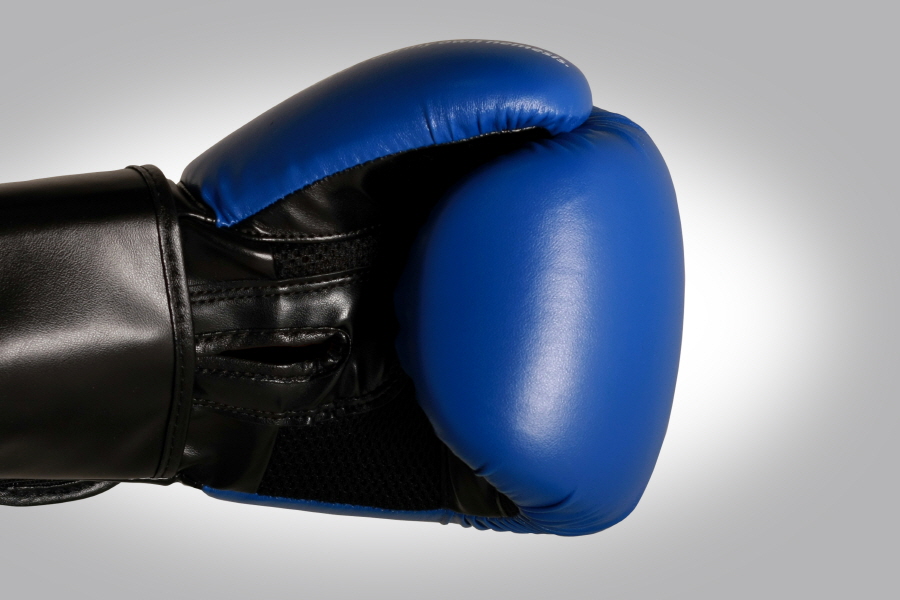 MOOTO MMA Glove SG1