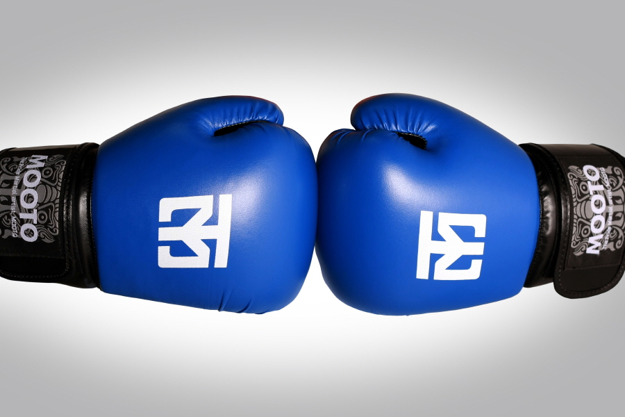 MOOTO MMA Glove SG1