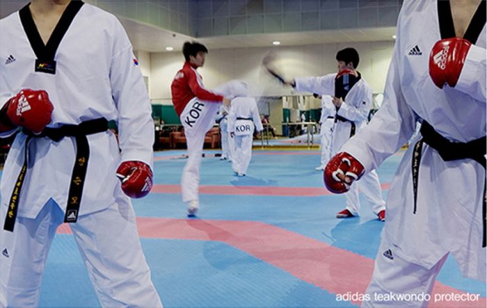 taekwondo gloves adidas
